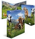 Herma Arc Ring Binders A4 Multicolour 20140