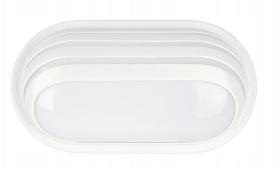 Germina Χελώνα LED 24W 6500K 26.5x26.5x14εκ.