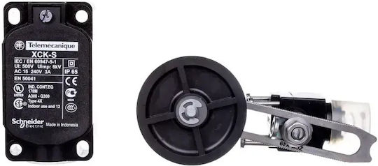 Schneider Electric Senzor Tip Industrial