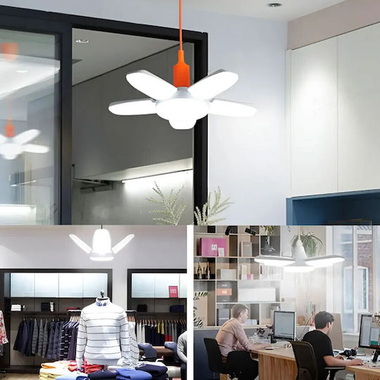Lightplanet Lustru Suspendat