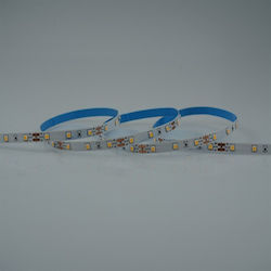 Eurolamp LED Strip 12V Natural White Light 5m SMD2835 Type