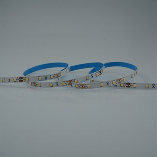 Eurolamp LED Strip 12V Natural White Light 5m SMD2835 Type