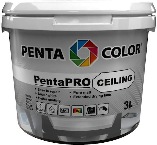 Pentacolor Pentapro Ceiling 10lt Λευκό