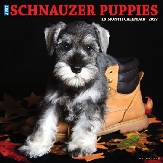 Willow Creek Press Schnauzer Puppies Daily Wall Mounted Diary 2027