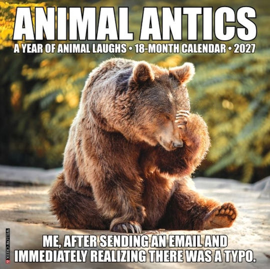 Willow Creek Press Animal Antics Daily Wall Mounted Diary 2027