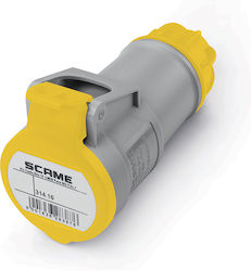 Scame Weibliche Industriesteckdose Typ 314.3240