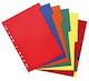 Herlitz Separatoare A4 PP 10 Bucăți Culori Diverse 174277