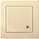 Liregus Recessed Medium Wall Switch with Frame