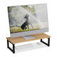 Relaxdays Suport de Monitor de Birou Maro (10049971_60)