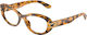 Dolce & Gabbana Dg3455 3496 54
