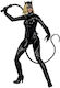 Mcfarlane Toys DC Comics: Catwoman Returns Deluxe Theatrical Edition Φιγούρα Δράσης ύψους 18εκ. σε Κλίμακα 1:10