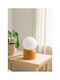 SteweHome Decorative Light Fixture 15x15cm