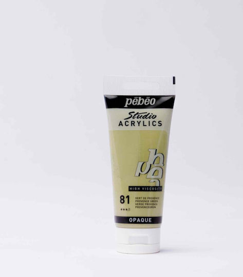 Acrilic pentru Pictură Studio Acrylics 100 ml Pébéo 81 Verde Provence