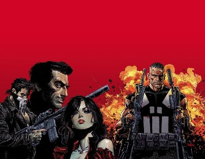 Knights Punisher Jimmy Palmiotti PB Knights Punisher Jimmy Palmiotti PB