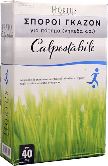Hortus Sementi Σπόροι Πράσινο 1kg