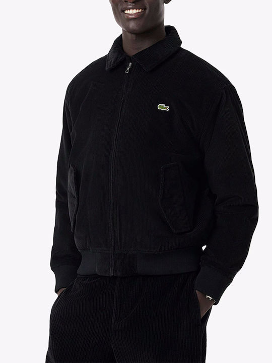 Lacoste Lacoste
