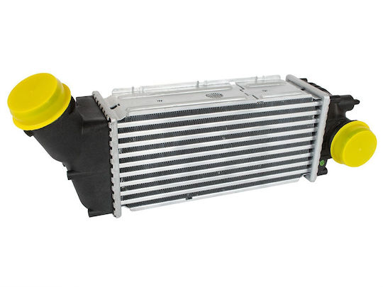 Intercooler Peugeot 307 03-09 1.6 Hdi 2.0 Hdi
