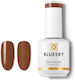 Gel-Polish Semi-permanenter Nagellack Last Call 15 ml