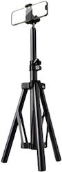Βάση Τρίποδου Τηλεφώνου Ezra Hl97-1 55 Cm Ρυθμιζόμενη Βάση Κινητού Τηλεφώνου Φωτογραφία Βιντεοσκόπηση Βάση Τρίποδου Τηλεφώνου Ezra Hl97-1 55 Cm Ρυθμιζόμενη Βάση Κινητού Τηλεφώνου Φωτογραφία Βιντεοσκόπηση