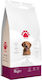 Premium 1kg Dry Food for Puppies with Lamb