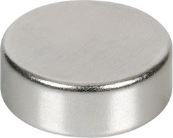 Magnetic Disc 25 x 10 mm