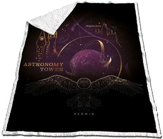 Aymax Κουβέρτα Fleece Harry Potter 170x130εκ.