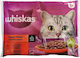 Wet Cat Food for Cats with Chicken and Beef 4x85gr