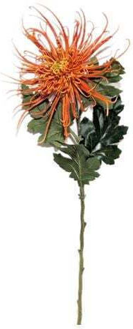 EDG Artificial Branch Orange Chrysanthemum 72 cm