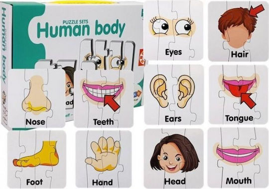 Kids Puzzle Body Parts for Ages 3+ 40pcs Lean Toys