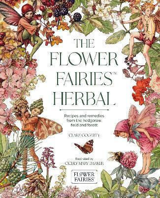 The Flower Fairies Herbal Recipes And Remedies From The Hedgerow Field And Forest Clare Gogerty