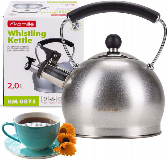 Kamille Edelstahl-Wasserkocher Silber 2000 ml