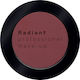 Radiant Color Matte Eye Shadow in Pressed Powder Form 313 Midnight Waltz 1.9g