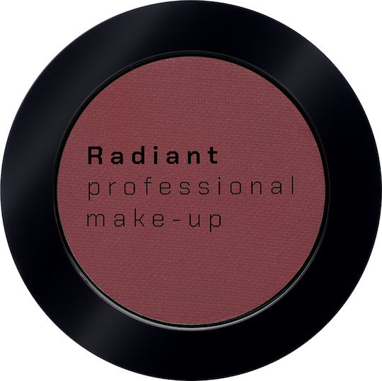 Radiant Color Matte Eye Shadow in Pressed Powder Form 313 Midnight Waltz 1.9g