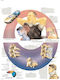 Acceleration Neck Injury Anatomy Chart