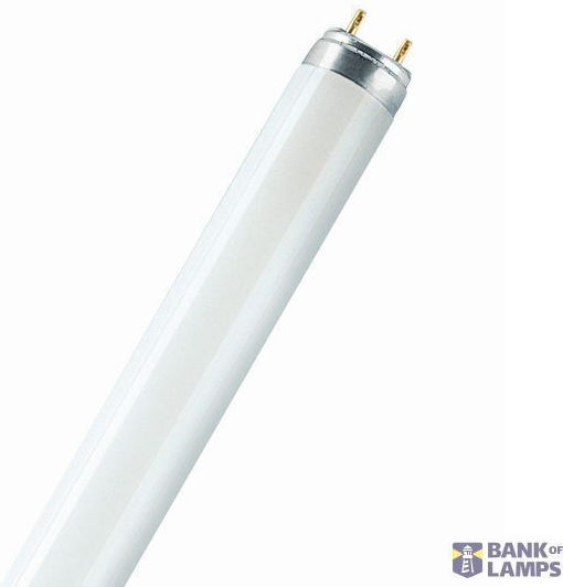 Fluorescent Lamp Lf 58w/830 Warm White 1sl/25
