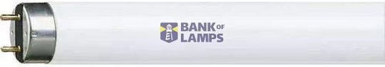 Leuchtstofflampe 58 W G13 Kalt-Tageslicht Linear