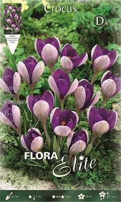 Flora Elite Луковици от шафран 10 бр.