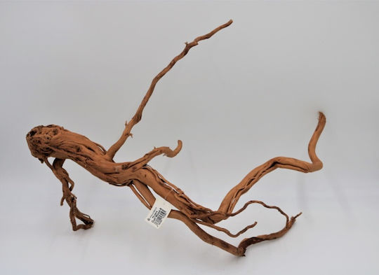 Lemn Tropical pentru Acvariu, Bucată Curl Wood M 60–80 Cm