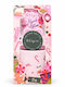 Sunkissed Utopia Pink Peppercorn Merry & Bright Tasse Hautpflege-Set zur Feuchtigkeitspflege 3-teilig