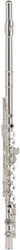 Gewa Germany Flute Fl650e2 Ambition
