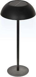 Lumineo Tabletop Solar Light Lumineo Tabletop Solar Light