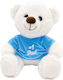 Fun World Valentine's Day Teddy Bear Plush 20 cm