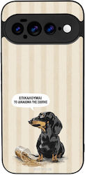 Θήκη Sonique Stripe Stories Series Google Pixel...