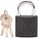 Finder Brass Shackle Padlock with Key 50mm