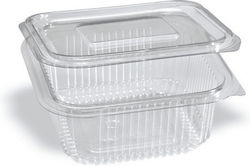 Plastic PET Container with Integrated Lid 500cc 10 Pieces