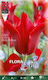 Flora Elite Луковици за лалета 10 бр.
