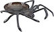 Dekorative Halloween-Schale Schwarze Spinne