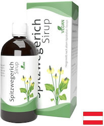 Gall Pharma Теснолистен 200 ml Gall Pharma Теснолистен 200 ml