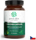 Green Idea Андрографис 385 mg 60 Капсули