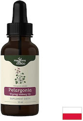 Nanga Тинктура African 50 ml